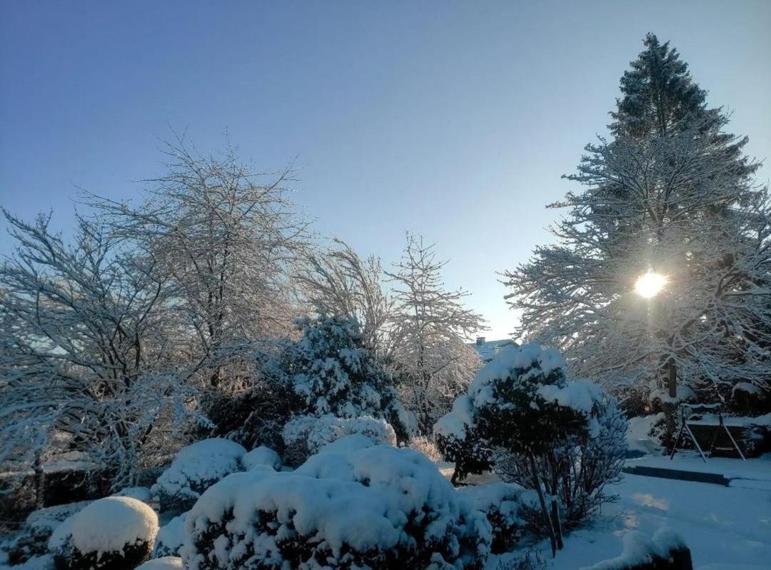 Gite La Forge Lierneux Esterno foto